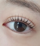 브로우 간결