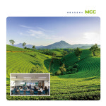 멘탈코칭컴퍼니