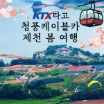 착한여행 6952
