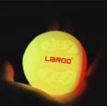 댕냥이라이프 강아지와고양이 애견용품펫마트 대전본점