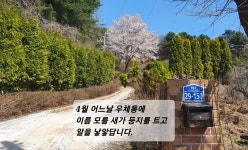 펜션161