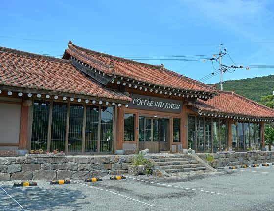 커피인터뷰 동학사 사진