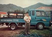 광진자동차유리
