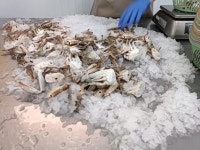 유림농수산