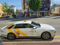 개인택시