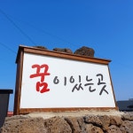 꿈이 있는 곳
