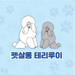 펫살롱 테리루이