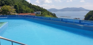 둘다섯펜션