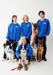 P&M반려견교육센터