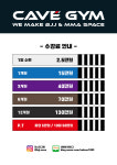 케이브짐 주짓수 MMA