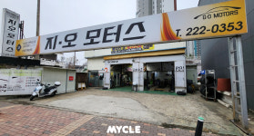 지오모터스