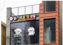 슬기로운 멍생활