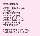 고양이이야기