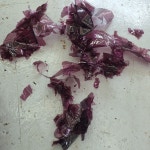 레이노 블락포디 애니가드 카월드스토리