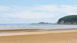 태안 몽산포랑 바다랑 펜션