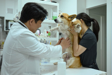도담동물의료센터