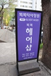 뵈뵈타샤정원 염색