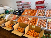 하늘농수산농장