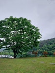 별구름펜션