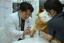 도담동물의료센터