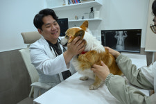 도담동물의료센터