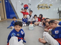 용비석사태권도