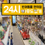 아무도없개 강릉중앙시장점