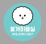 애견미용 꽃개미용실
