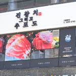 진참치 그리고 추포도