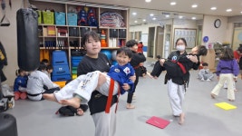 용비석사태권도