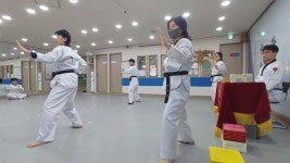 용비석사태권도
