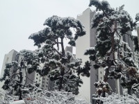 강남역서초써밋롯데캐슬공인중개사사무소