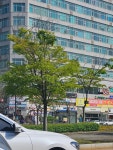 신안산부동산공인중개사사무소