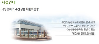 부산광역시수산자원연구소낙동강하구수산생물체험학습장