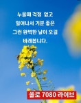 쏠로 7080 라이브