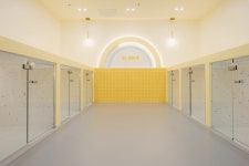 올치 애견유치원/애견호텔/애견미용/데이케어