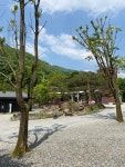 더 휴