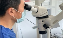 맨하탄치과의원