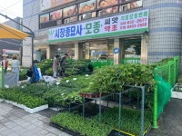 시장종묘사
