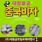 세종글로벌국제여행사