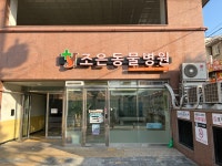 조은동물병원
