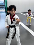 케이타이거즈 감일태권도