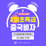 세종글로벌국제여행사