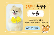 우다다댕산 애견호텔