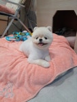 와와살롱