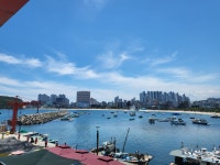 온산초장