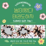 한국체대 태권라움 태권도장