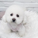 우리몽