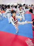 전일동아대태권도