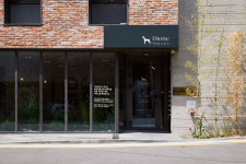 디오네 도그케어 애견유치원&애견호텔